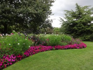 Flower Border at Kew
