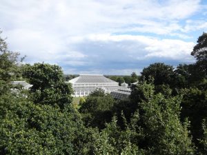 View from Treetop Walk