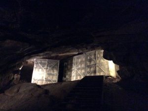 Cheddar cheese maturing in the cave