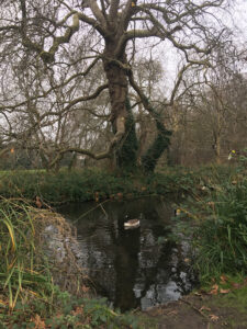 Morden Hall Park