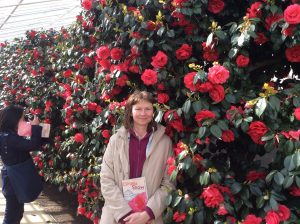 Camellias in 2017