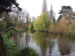 Chiswick House lake Chiswick House lake