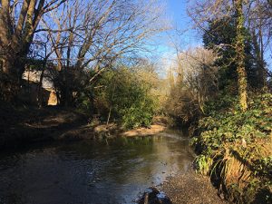 History of the River Brent talk
