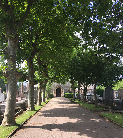 Willesden Jewish Cemetery Highlights Tour