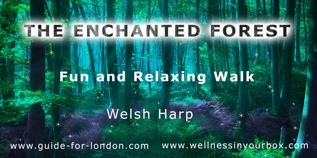 Enchanted Forest Welsh Harp walk, storytelling, history, meditation, mindfulness