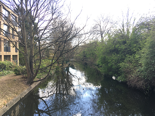 Walk along the Wandle