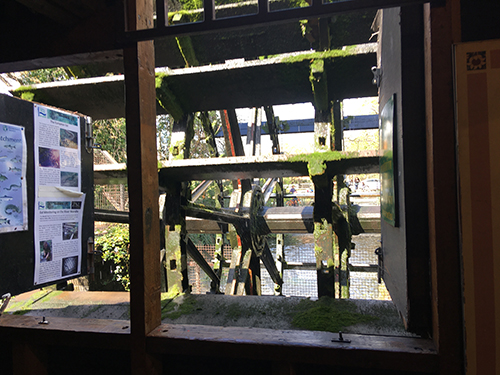 WaterWheel from inside